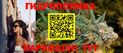 jwh Канаш