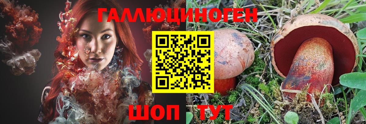 Камышин  Псилоцибиновые грибы мухоморы  Галлюциногенные грибы Magic Shrooms  Вход с VPN 